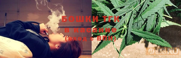 винт Абаза