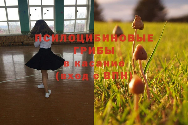 гидра Абинск